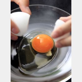 卵はほぼ完全な栄養食材（Ｃ）日刊ゲンダイ