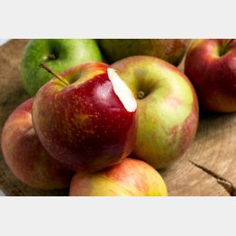 リンゴの栄養は皮の部分にたっぷり