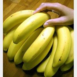 バナナにはカリウムが多く含まれている（Ｃ）日刊ゲンダイ