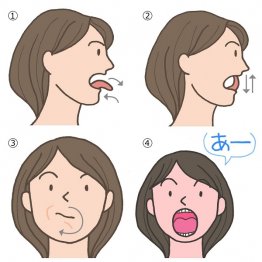 ①舌の前後運動 ②上下運動 ③回転運動 ④舌やあごの運動（提供）アスコム