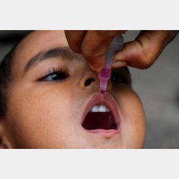 ポリオは経口ワクチンで有効性が認められたが（Ｃ）ロイター／Sipa USA