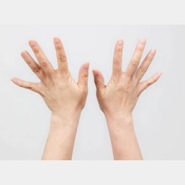 指の動きは、広範囲の脳の領域が使われる