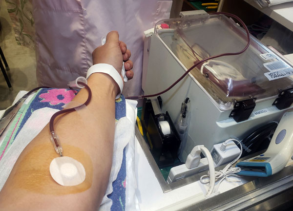 ファイザー社製、モデルナ社製は接種後48時時間経過すれば献血可能に（Ｃ）日刊ゲンダイ