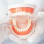 自由診療歯科医が教える歯のケア（4）“歯なし”を放っておくとどうなる？