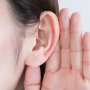 難聴は認知症の大きなリスク 会話が聞き取りにくくなったら「人工内耳」も検討を