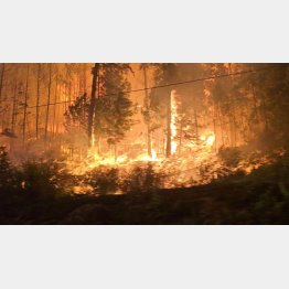 21日に起きたカナダ西部ブリティッシュコロンビア州近郊の森林火災は過去最悪に。3万世帯に避難命令（Ｎｉｋｋｉ Ｇｏｙｅｒのソーシャルメディアの動画から）／（Ｃ）ロイター＝共同