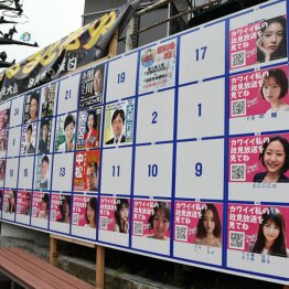 悪用が目立つ東京都知事選のポスター掲示板（Ｃ）日刊ゲンダイ