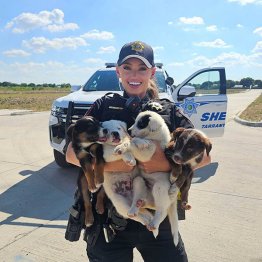 保護された子犬たちと保安官補のヘイリーさん（米テキサス州タラント郡保安官事務所のフェイスブックから）