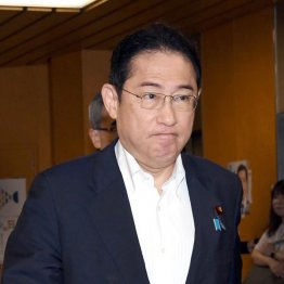 何もせず、辞めもせず、「外交の岸田」に熱を上げ（岸田首相）／（Ｃ）日刊ゲンダイ