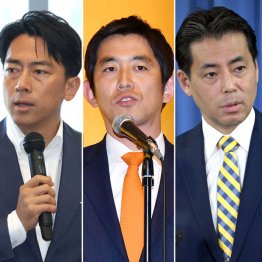 （左から）小泉進次郎、小林鷹之、福田達夫の3氏（Ｃ）日刊ゲンダイ