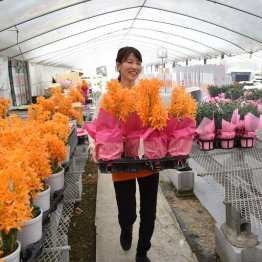 創業後、自らおてつたびを実践（提供写真）