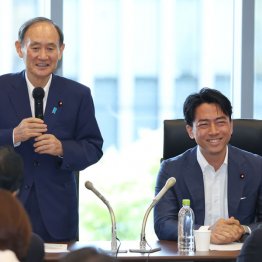 菅前首相の手中には3総裁候補のカードが（右は小泉進次郎元環境相）／（Ｃ）日刊ゲンダイ