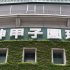 甲子園球場（Ｃ）日刊ゲンダイ