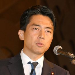 乏しい経験で務まるわけがない（小泉進次郎元環境相）／（Ｃ）日刊ゲンダイ