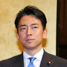 総裁選の狂騒を見ればまさにブラックジョーク（小泉進次郎元環境相）／（Ｃ）日刊ゲンダイ