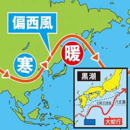 より重要な変化は「海」。黒潮がルートを離れ、大きく蛇行（図・右下）／（Ｃ）日刊ゲンダイ