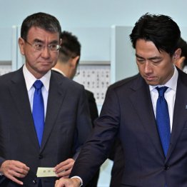 負けるべくして負けた（小泉進次郎元環境相と河野太郎デジタル担当相＝左）／（Ｃ）ＪＭＰＡ