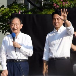 菅元首相は10期連続固し（小泉進次郎元環境相＝右）／（Ｃ）日刊ゲンダイ