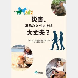 災害対策ガイドライン「災害、あなたとペットは大丈夫？」（環境省HPから）