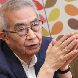 元経企庁長官の田中秀征氏（Ｃ）日刊ゲンダイ