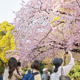 1年のうちでリユースが最も大きく動くのは3月から4月初旬（Ｃ）日刊ゲンダイ