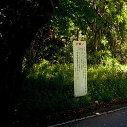 遺体が発見された現場は田園地帯の雑木林の中だった（提供写真）