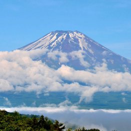 “富士山銘柄”（Ｃ）日刊ゲンダイ