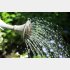 お水はたっぷりと（写真:iStock）