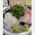 刺し身3点盛り（Ｃ）日刊ゲンダイ