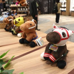 阪神競馬場内(C)日刊ゲンダイ