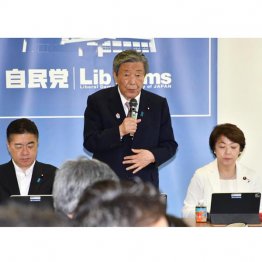 減税する気ゼロ(森山裕幹事長)/(C)日刊ゲンダイ