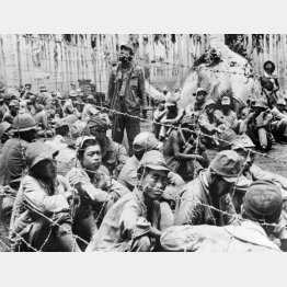 ソロモン諸島のガダルカナル島で、米軍の捕虜となった日本軍兵士=1942年(ACME)