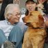 犬を見つめる畑氏（Ｃ）共同通信社