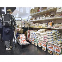 全然値段が下がらない(C)共同通信社