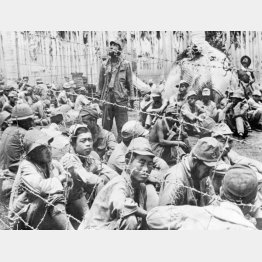 ソロモン諸島のガダルカナル島で、米軍の捕虜となった日本軍兵士（1942＝昭和17＝年11月）／（ＡＣＭＥ）