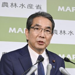 作況に、農水省発表と現場農家の感覚との間に相違が(江藤拓農相)/(C)共同通信社