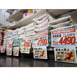 備蓄米が流通しても相変わらず価格は高く、先月4月よりも割高に…(C)共同通信社