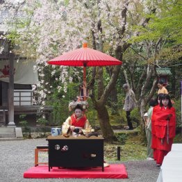 常照寺の吉野太夫供養法要(撮影)渡辺憲司