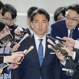 あれだけ農業通、大臣経験者がいる自民党で、未経験軽量大臣にピンチヒッター(C)共同通信社