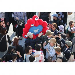 何となくうまくいっている雰囲気だが…(C)日刊ゲンダイ