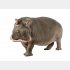 カバ属性のモンスター化（写真:iStock）