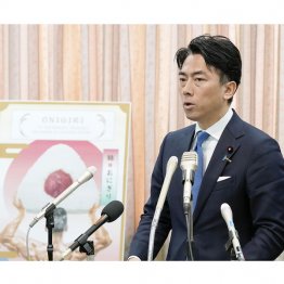斬新に見えても一時しのぎ、これぞ選挙までの目くらまし（Ｃ）日刊ゲンダイ