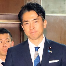 コメ高騰は自民の政策失敗なのに同じメンバーが改革を気取る(C)日刊ゲンダイ