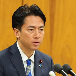 コメ価格はまだまだ先が読めない(小泉進次郎農相)/(C)日刊ゲンダイ