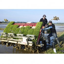 最も必要なのはコメ農政の抜本的な対策(田植え機に肥料を積み込むコメ生産者)/(C)共同通信社