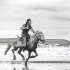海岸線を馬で疾走する加納氏（C）TENMEI KANOH