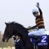 キタサンブラックはG17勝で種牡馬入り（Ｃ）日刊ゲンダイ