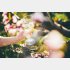 飲みすぎ注意！（写真:iStock）