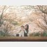さっさと見てさっさと帰る（写真:iStock）