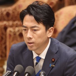 備蓄米尽きたら輸入米だと。日本の農家は崩壊へ一直線(C)日刊ゲンダイ